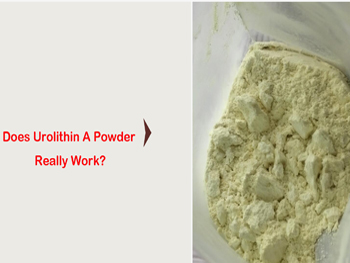 Does Urolithin A Powder Really Work?